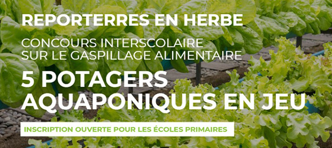 Concours inter-écoles « Reporterres en herbe » : Cité Zen met en jeu cinq potagers aquaponiques